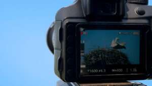 Remote Video Production image