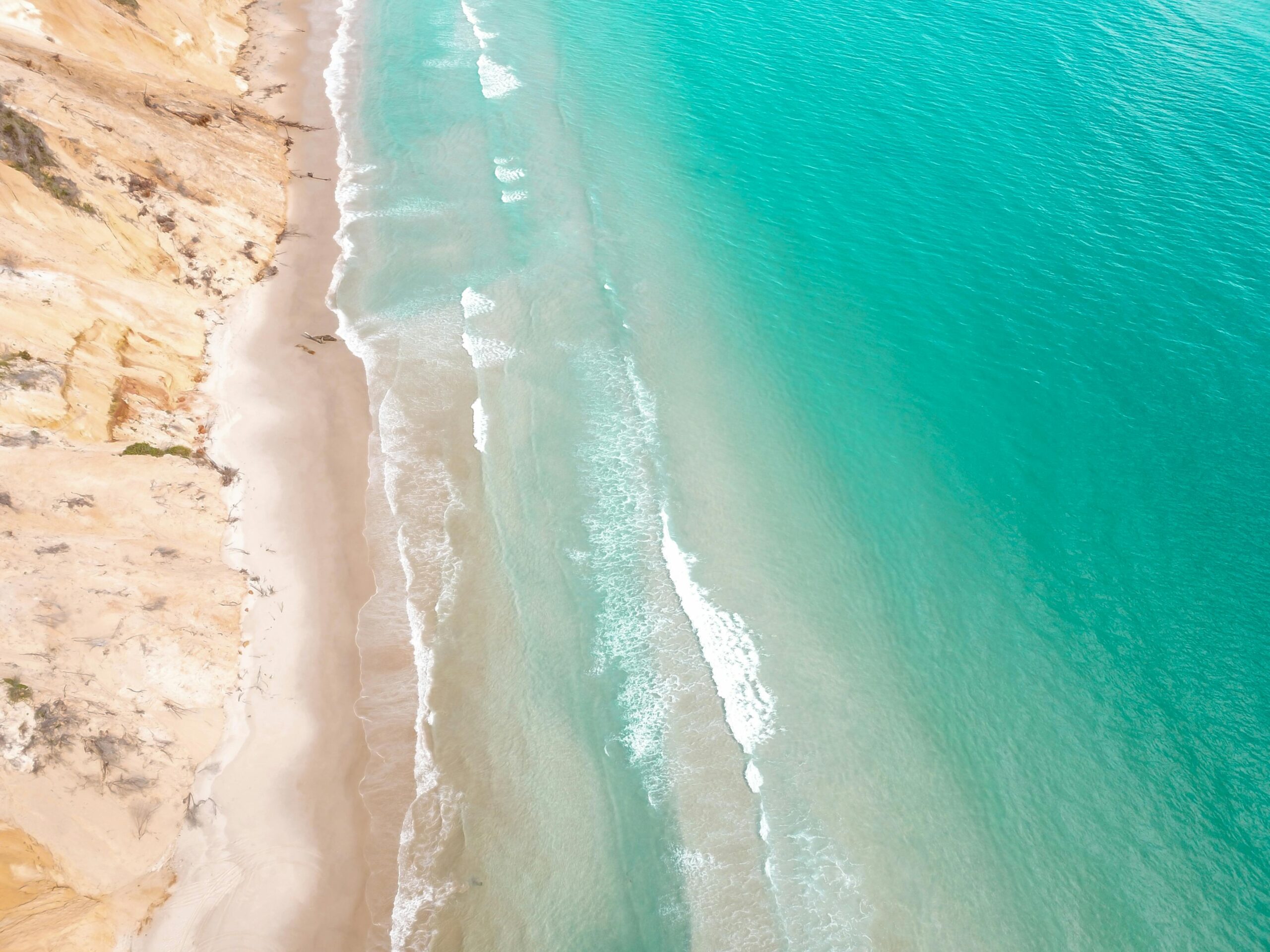 How to Tell Your Brand Story Through Video on the Sunshine Coast